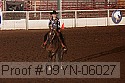 09yn-06027 proof