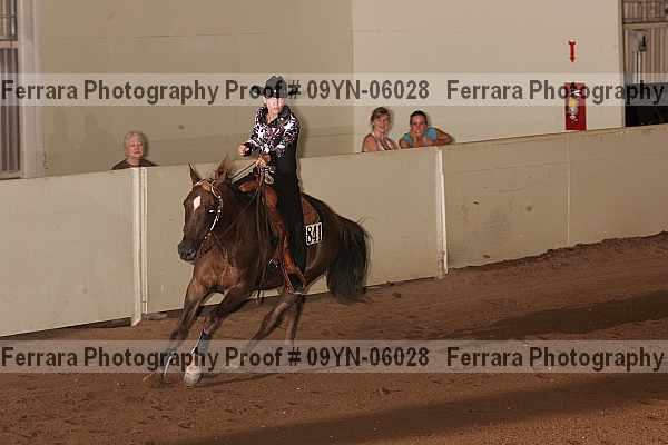 Proof 09yn-06028