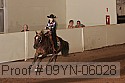 09yn-06028 proof