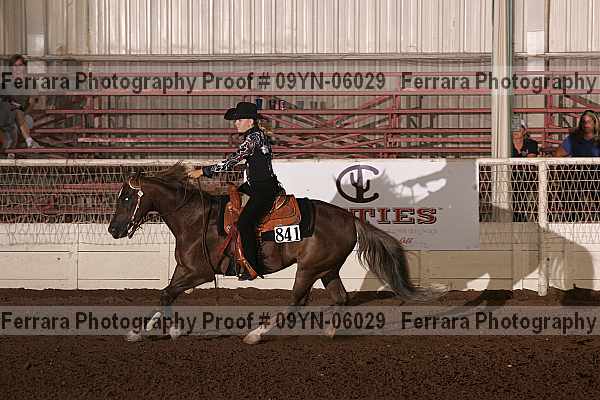 Proof 09yn-06029