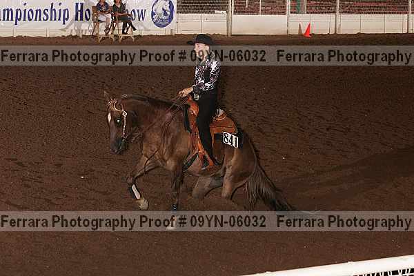 Proof 09yn-06032
