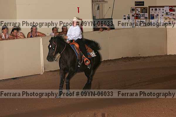 Proof 09yn-06033