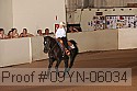 09yn-06034 proof