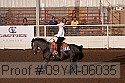 09yn-06035 proof