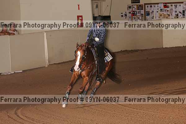 Proof 09yn-06037