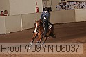 09yn-06037 proof