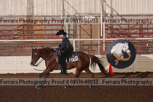 Proof 09yn-06038