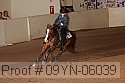 09yn-06039 proof