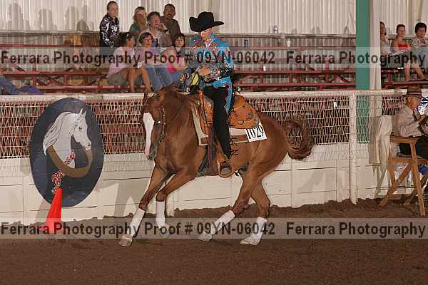 Proof 09yn-06042