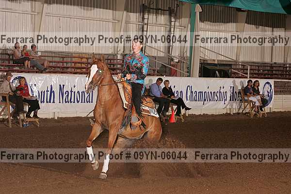 Proof 09yn-06044