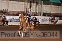 09yn-06044 proof