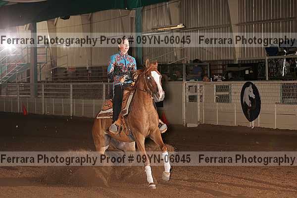 Proof 09yn-06045