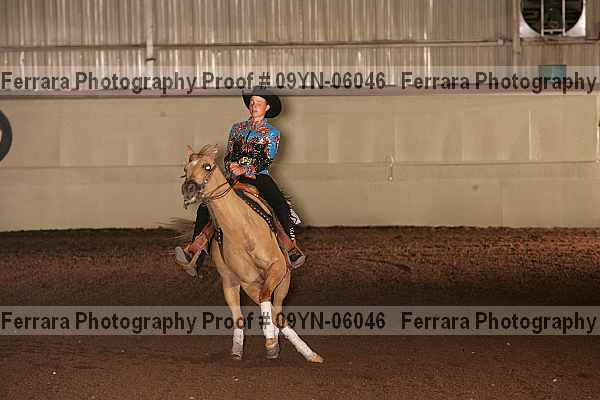 Proof 09yn-06046