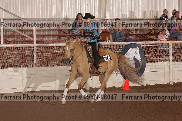 Proof 09yn-06047