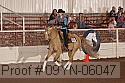 09yn-06047 proof