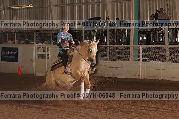 Proof 09yn-06048
