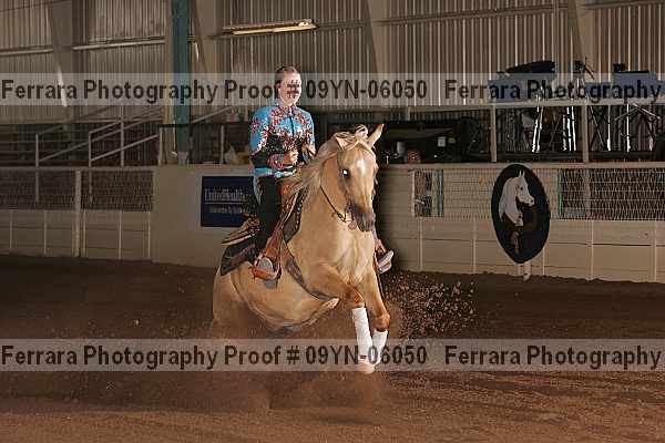 Proof 09yn-06050