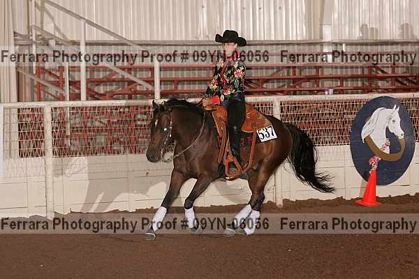 Proof 09yn-06056