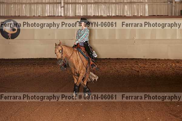 Proof 09yn-06061