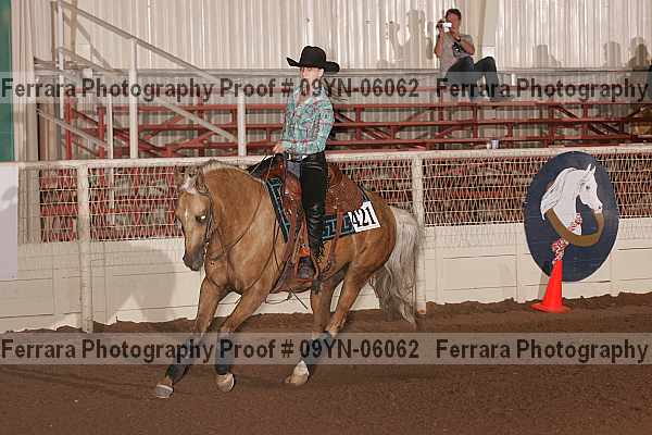 Proof 09yn-06062