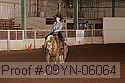 09yn-06064 proof