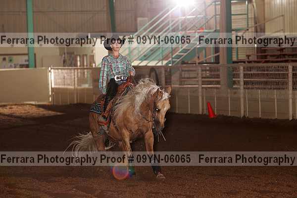 Proof 09yn-06065