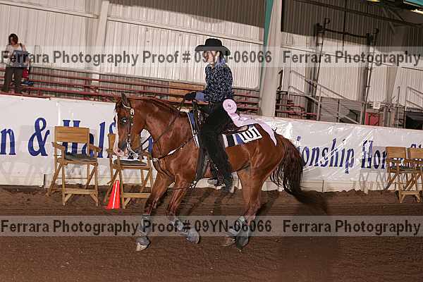 Proof 09yn-06066