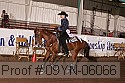 09yn-06066 proof