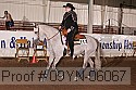 09yn-06067 proof