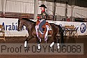 09yn-06068 proof