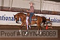 09yn-06069 proof