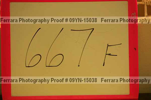 Proof 09yn-15038