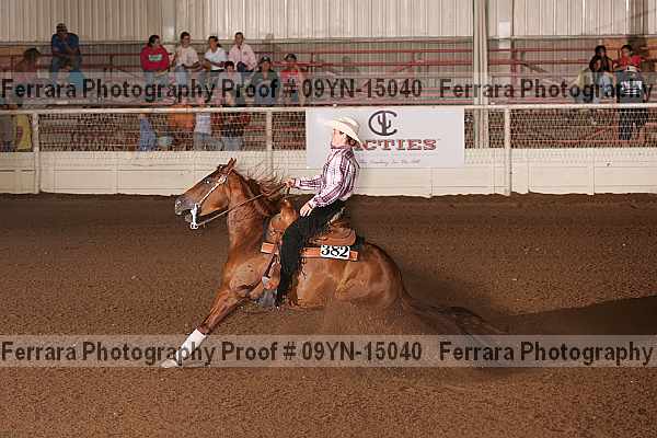 Proof 09yn-15040