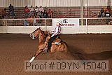 09yn-15040 proof