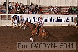 09yn-15041 proof