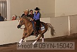 09yn-15042 proof