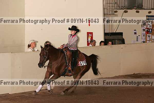 Proof 09yn-15043