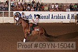 09yn-15044 proof