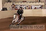 09yn-15045 proof