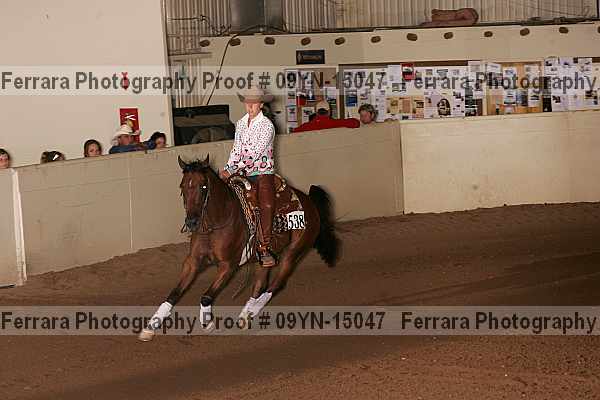 Proof 09yn-15047