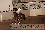 09yn-15047 proof