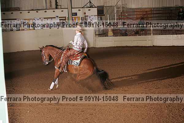 Proof 09yn-15048