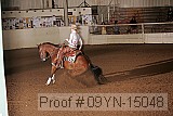 09yn-15048 proof
