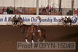 09yn-15049 proof