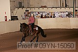 09yn-15050 proof