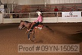 09yn-15052 proof