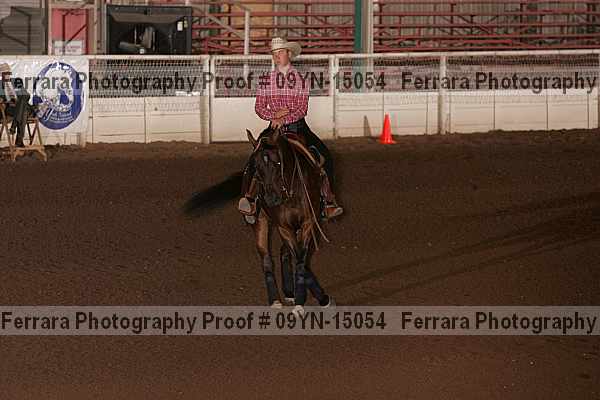 Proof 09yn-15054