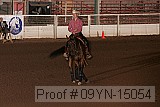 09yn-15054 proof