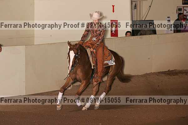 Proof 09yn-15055