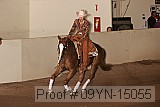09yn-15055 proof
